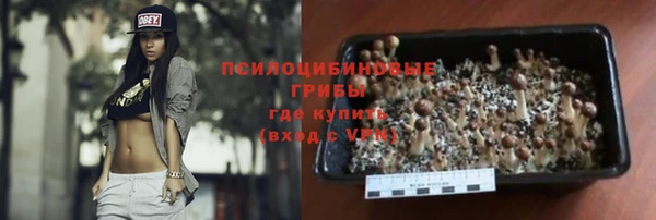 гидра Баксан