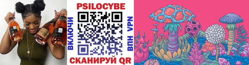 где можно купить   Усть-Катав  Псилоцибиновые грибы MAGIC MUSHROOMS 